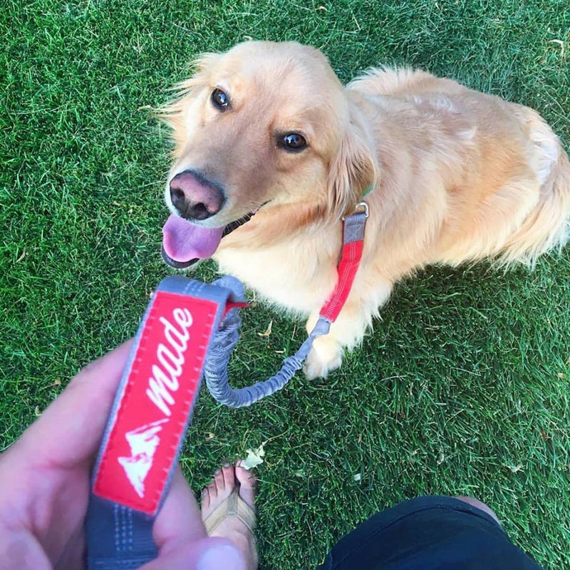 [Australia] - Mountain Made Pets Hands Free or Hands On Retractable Dog Leash 