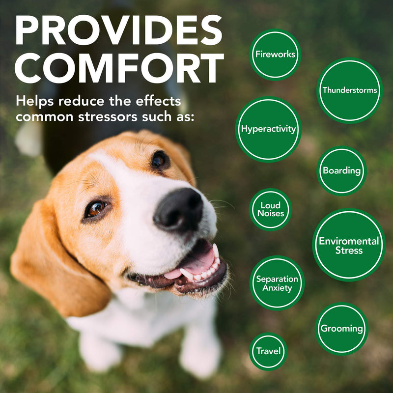 Vet's Best Comfort Calm Calming Dog Supplements Promotes Relaxation and Balanced Behaviour (60 Tablets) - PawsPlanet Australia