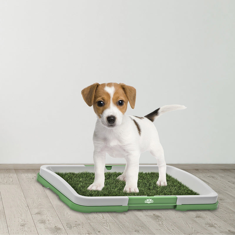 [Australia] - PETMAKER Puppy Potty Trainer 