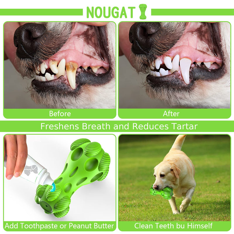 NOUGAT Tough Dog Toys, Squeaky Dog Toys for Medium Large Dogs, Natural Rubber, Beef Flavor Green - PawsPlanet Australia