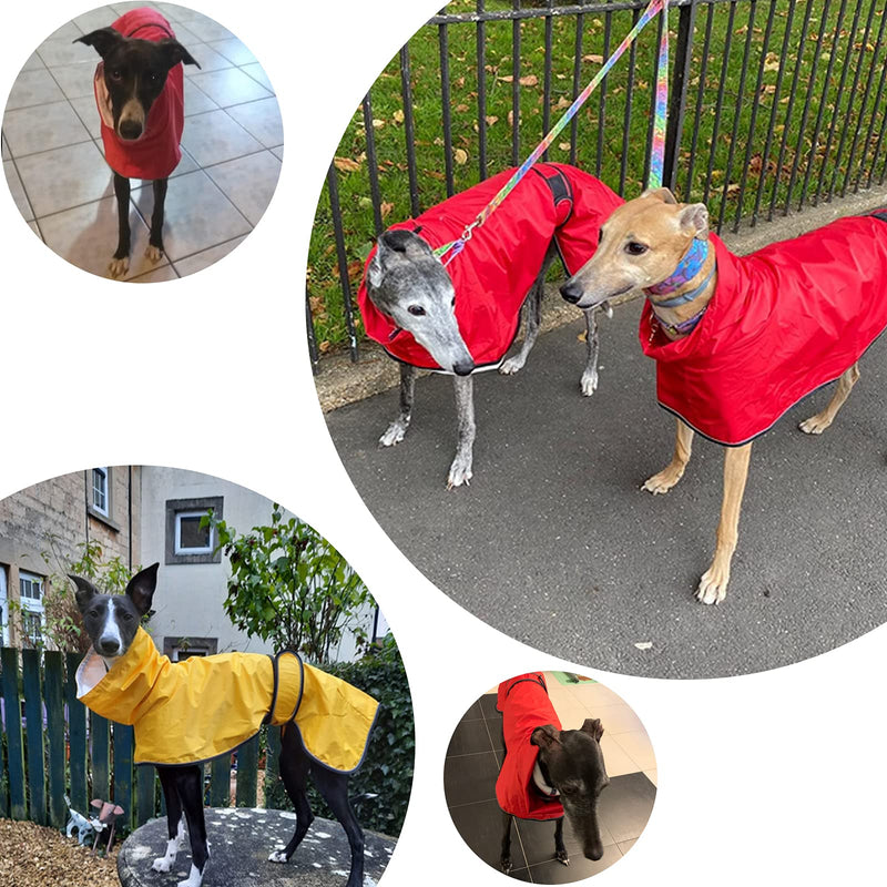 Dog Jacket Adjustable Lightweight Raincoat with Reflective Straps and Harness Hole Best Gift for Greyhounds, Lurchers and Whippets -Red -L L Red - PawsPlanet Australia