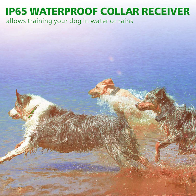 F-color Dog Training Collar, 2600FT Dog Shock Collar for Large Medium Small Dogs Breed, with 4 Modes Light Beep Vibration Shock, Waterproof and Rechargeable Shock Collar for 3 Dogs - PawsPlanet Australia