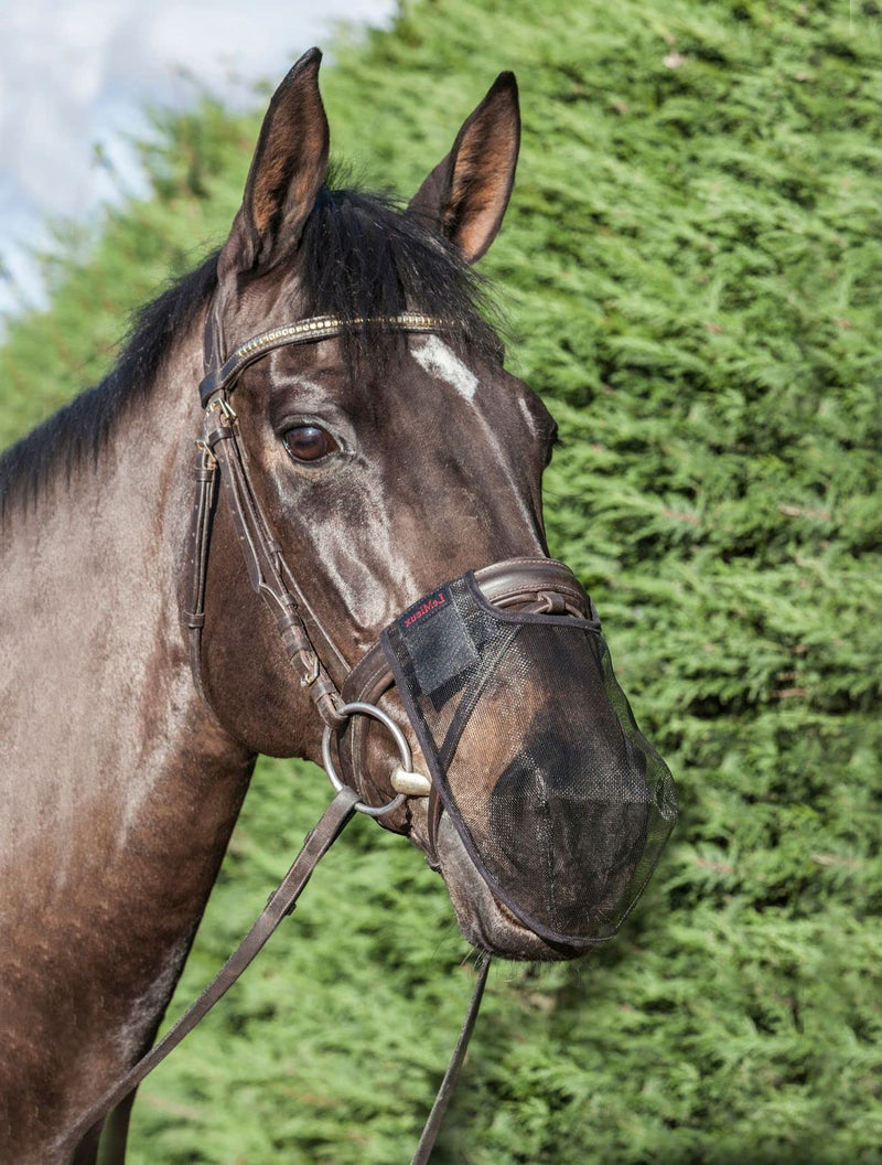 LeMieux Comfort Shield Nose Filter Medium Black Black M - PawsPlanet Australia