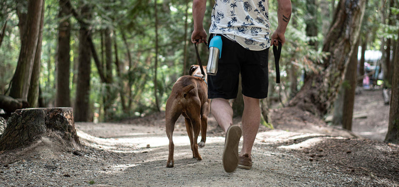 [Australia] - Hudson & Friends Pet Supply Co. Set of Two Large 24oz Stainless Steel Water Bottles with Drinking Lid for Dog, 700ml Capacity 