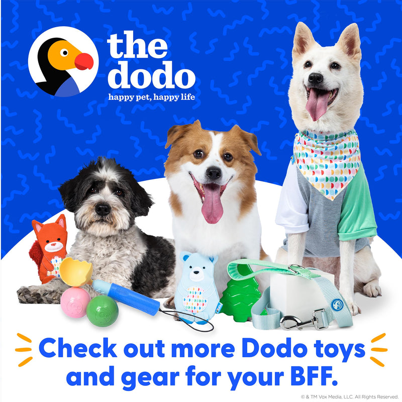 The Dodo Green Dog Harness, Size Medium; Easy Step-in Harness for Dogs; Breathable Mesh Fabric; Snap-Together, Pinch Release Buckle, Ring for Leash Attachment; Everyday Pet Apparel - PawsPlanet Australia