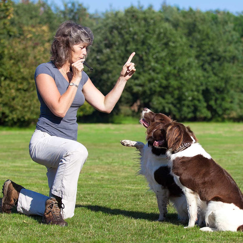 Audoloku 2 Pack Ultrasonic Dog Whistle Dog Training Silent Ultrasound Whistles Black - PawsPlanet Australia