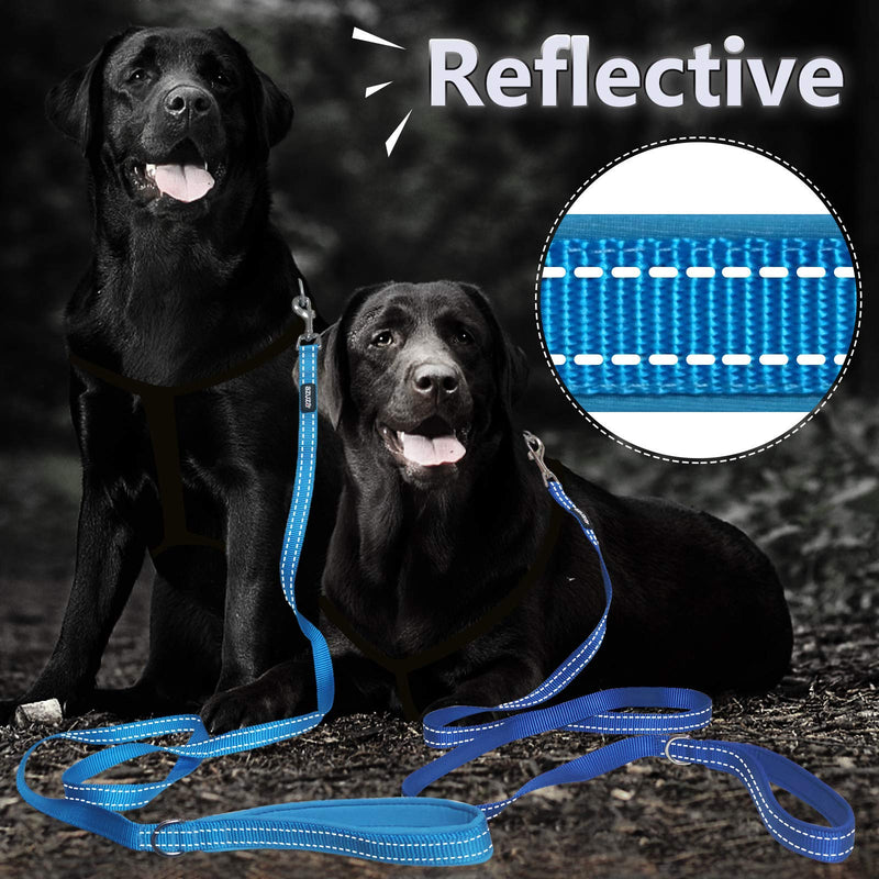 azuza 3 Pack Nylon Dog Leashes,Strong & Durable Basic Style Leash with Easy to Use Collar Hook,Available in Multiple Lengths for Puppy Small Medium and Large Dogs padded 2 pack 1"×4ft BLue - PawsPlanet Australia