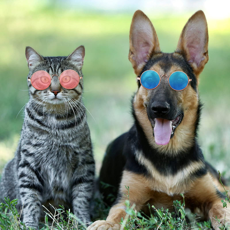 15 Pieces Small Pet Sunglasses Retro Dog Sunglasses Round Metal Puppy Sunglasses Cosplay Glasses Photo Props Eyewear for Cats and Small to Medium Sized Dogs - PawsPlanet Australia