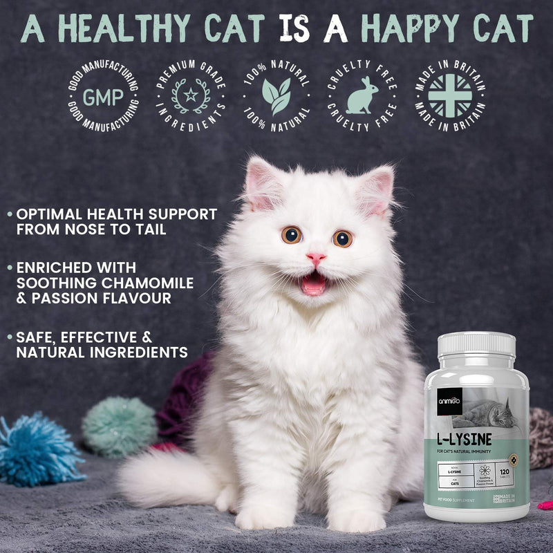 Animigo L-Lysine Tablets For Cats - 120 Tablets - Natural L-Lysine Cat Food Supplement For Immunity Support & Anxiety Relief - With Vitamin B Complex, Theanine, Magnesium & Chamomile - Made In UK - PawsPlanet Australia