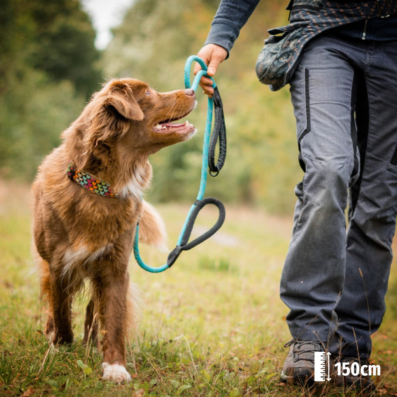 Floxik rope leash for dogs turquoise | Innovative 1.5m dog leash with two handles and reflective seams for medium & large dogs | Weather-resistant & resilient climbing rope material - PawsPlanet Australia