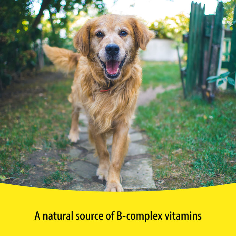 Vetzyme | Conditioning Dog Supplements, Promotes Health & Vitality | Supports Immune System | Nutritional Savoury Treat (100 Tablets) 100 Tablets - PawsPlanet Australia