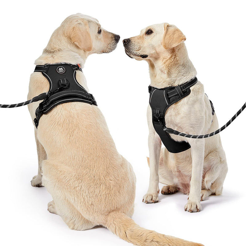 NESTROAD No Pull Dog Harness, Adjustable Oxford Dog Vest Harness with Leash, Reflective and Easy Control Soft Handle, Easy Walk for Small Medium Large Dogs 【XS】neck 08-11" chest 13-17" Black - PawsPlanet Australia