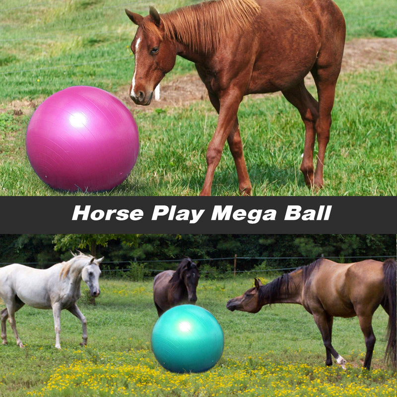 Harrison Howard Mega Horse Play Ball Anti-Burst Giant Horse Ball Horse Soccer Ball 22 Inch-Magenta Magenta - PawsPlanet Australia
