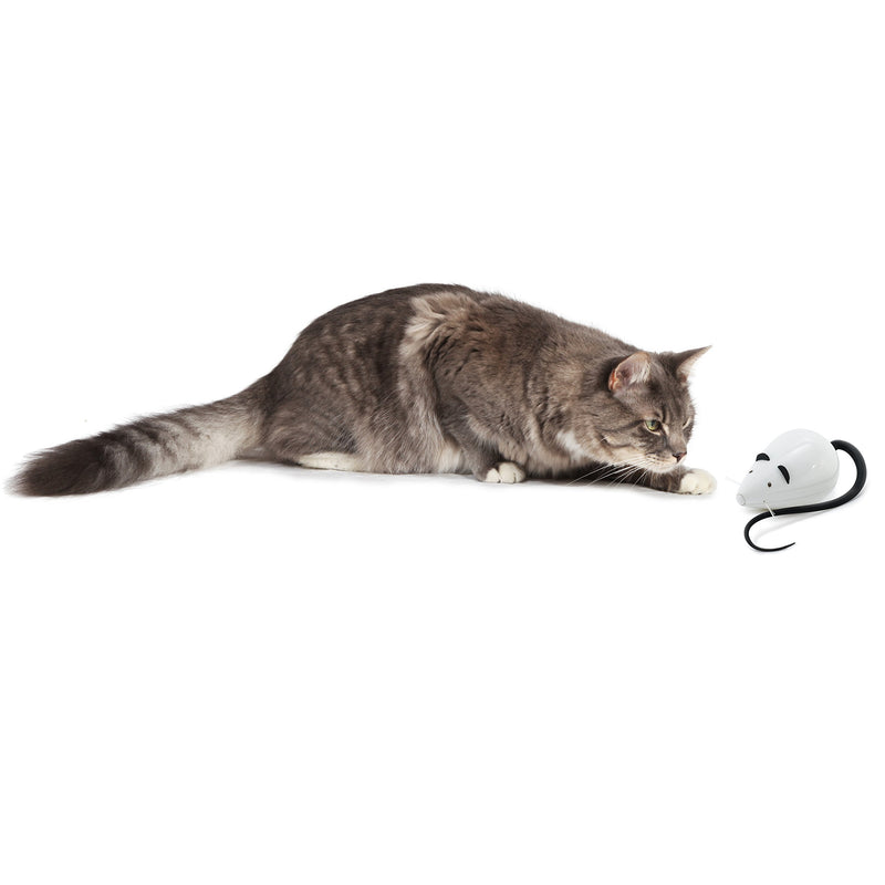 PetSafe FroliCat Interactive RoloRat Automatic Cat Teaser - PawsPlanet Australia