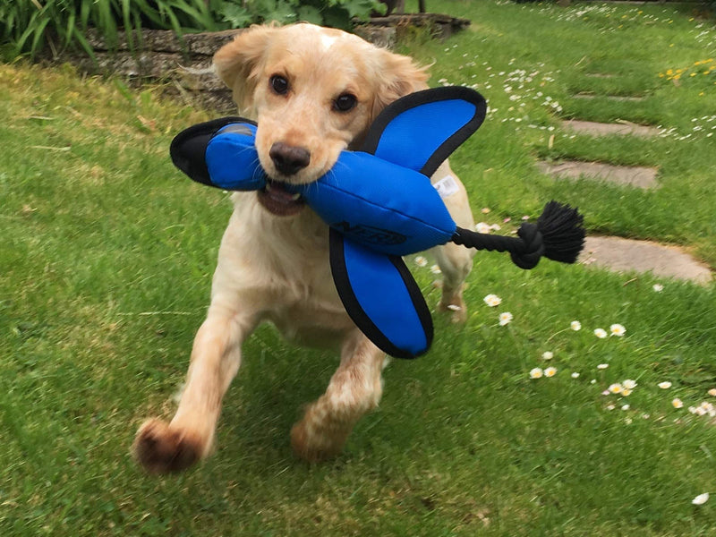 Nerf Dog Large Nylon Launching Duck with Interactive Design Blue - PawsPlanet Australia