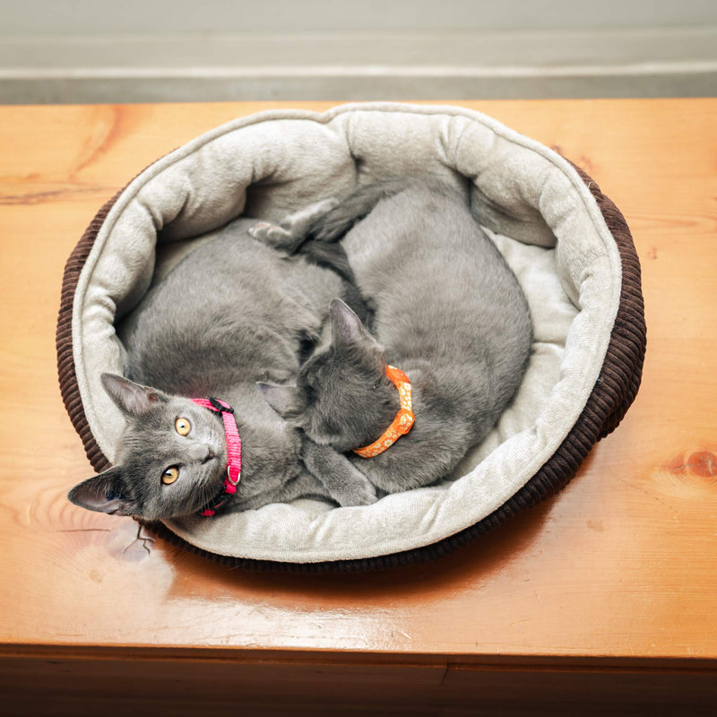 [Australia] - Simple Sleeper Self Warming Cute Calming Cat Bed With Ultra Soft Luxury Plush Including Refillable Catnip Pouch - Perfect for Indoor Cats Brown 