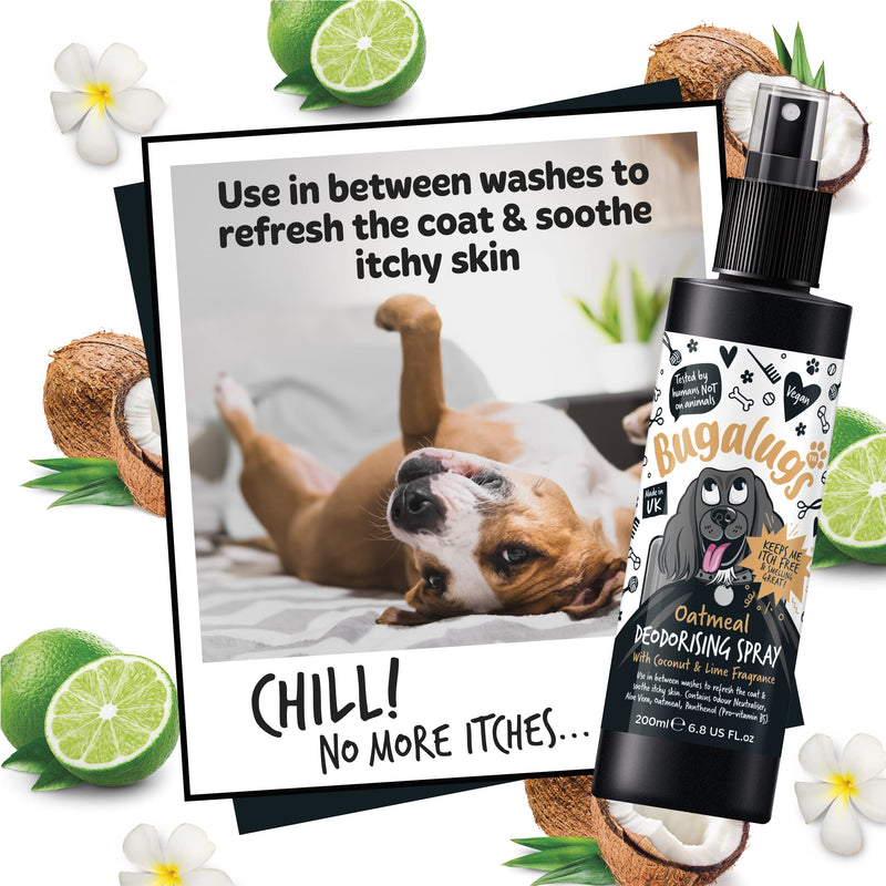 BUGALUGS Oatmeal Dog deodorant deodorising spray with Coconut & Lime scent, dog perfume spray with odour neutraliser - vegan dog cologne dog grooming odour eliminator use with oatmeal shampoo (200ml) 200 ml (Pack of 1) - PawsPlanet Australia