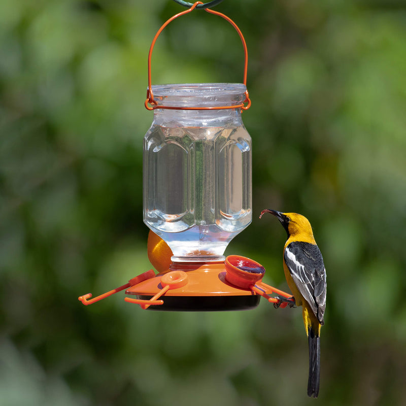 Perky-Pet 9113-2 Top-Fill Glass Oriole Feeder – 22 Oz - PawsPlanet Australia