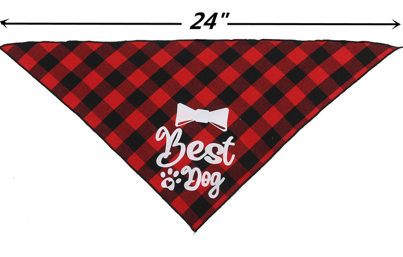 JPB Best Dog Wedding Bandana,Engagement Party Gift - PawsPlanet Australia