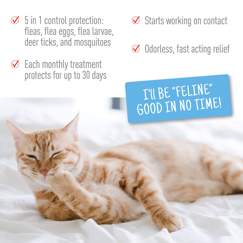 Adams Plus Flea & Tick Spot On for Cats Over 2.5 lbs but Under 5 Pounds 3 Month Supply - PawsPlanet Australia