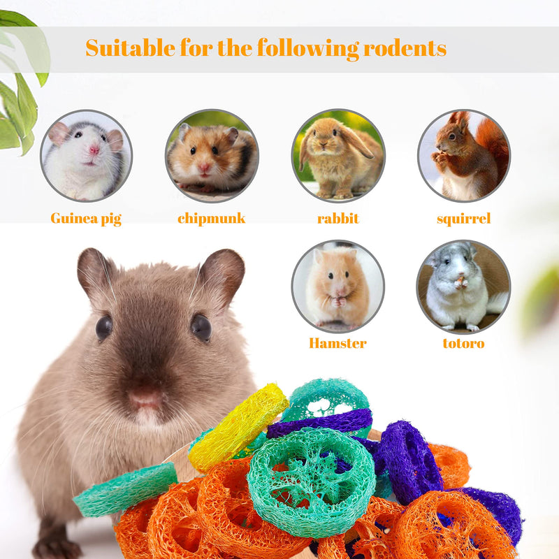 Epessa 20pcs Loofah Toys, Rabbit Chew Toys for Dental Health, Natural Handmade Material Small Animal Toys for Guinea Pig Hamster Rabbit Rat - PawsPlanet Australia