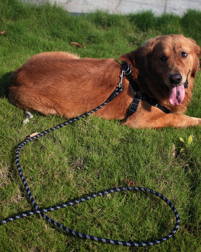 Long Rope Leash for Dog Training 16FT 30FT, Reflective Heavy Duty Dog Leashes with 2 Hooks for Small/Medium/Large Dogs, Check Cord Recall Training Agility Lead. Black - PawsPlanet Australia