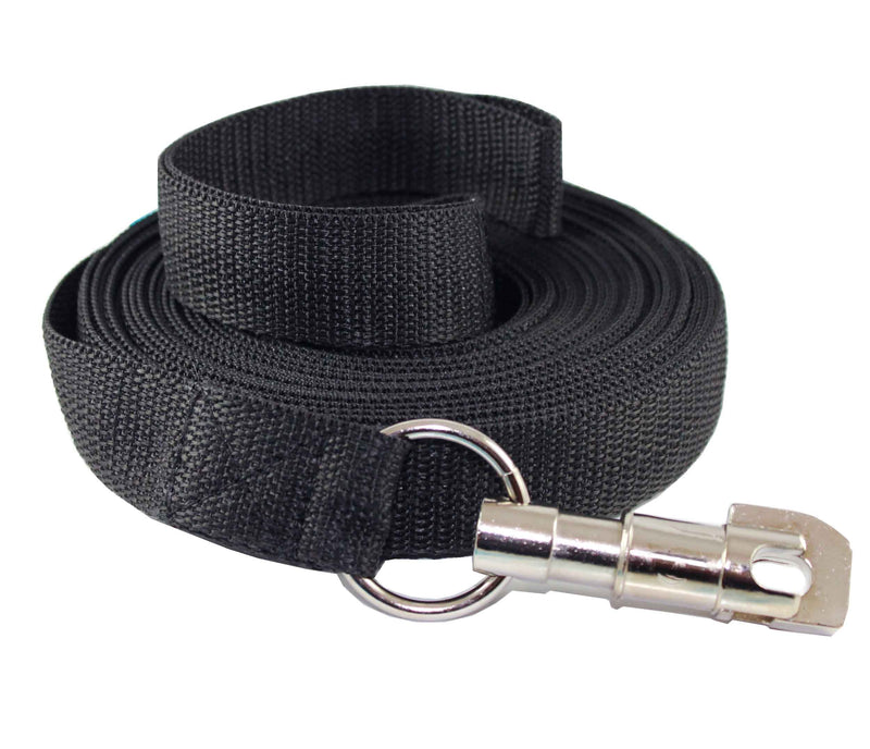 [Australia] - Dog Leash 1" Wide Nylon 10 Feet Extra Long for Training Secure Locking Snape Locking Snap 