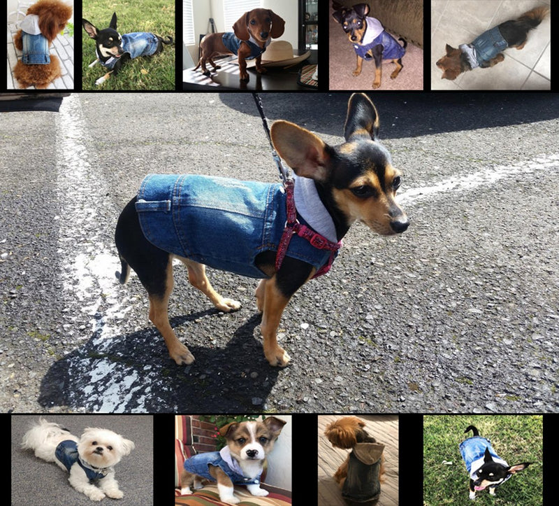 [Australia] - SILD Pet Clothes Dog Jeans Jacket Cool Blue Denim Coat Small Medium Dogs Lapel Vests Classic Hoodies Puppy Blue Vintage Washed Clothes XS Grey 