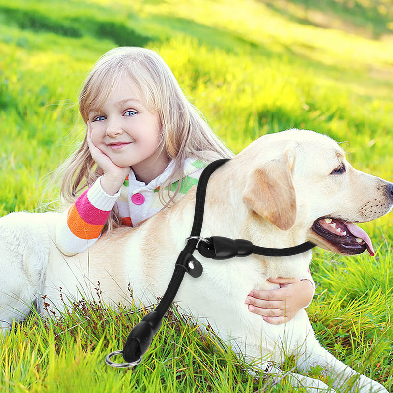 TIESOME Slip Collar Dog Training Choke Collar, Round Nylon Rope Collar No Pull P-Collar for Small Medium Large Dogs (Black M) Black M - PawsPlanet Australia