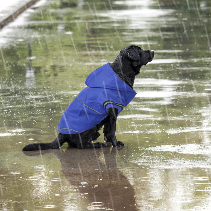 Dog Reflective Waterproof Raincoat Winter Hoodie Jacket with Leash Hole Warm Fleece Lining Lightweight Visibility Safety Strap Slicker Poncho Cold Weather Coat for Small Medium Large Dogs and Puppy Blue - PawsPlanet Australia