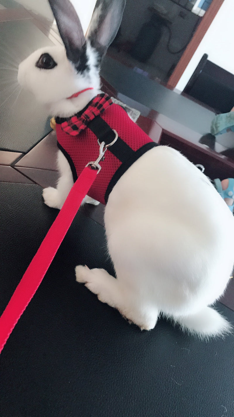 [Australia] - Bunny Kitten Harness No Pull Cat Leash Stylish Vest Harness for Small Animal Adjustable Soft Breathable Walking Harness Set RED Medium 