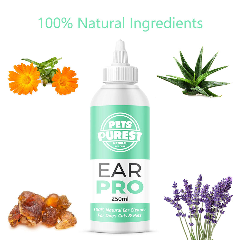 Pets Purest Dog Ear Cleaner - UK Vet Recommended Ear Drops for Dogs to Stop Head Shaking, Itchy Ears and Smelly Wax. 100% Natural Anti Viral Anti Fungal Cleaning Solution - 250ml - PawsPlanet Australia