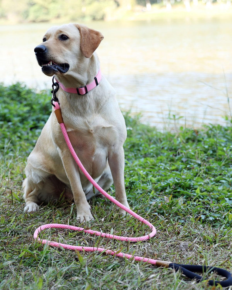lynxking tow leash for dogs, dog leash, retriever leash, leash for small medium large dogs (grey, carabiner hook-0.9cm x 180cm) grey - PawsPlanet Australia