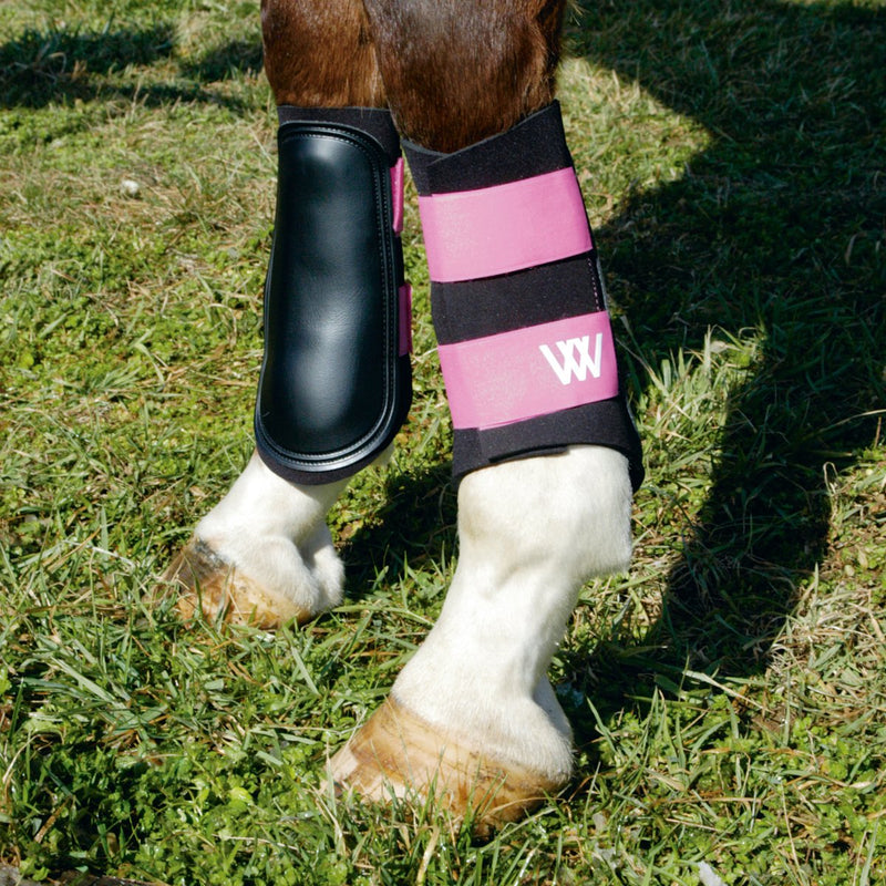 [Australia] - WOOF WEAR Sport Brushing Boots Black Medium 