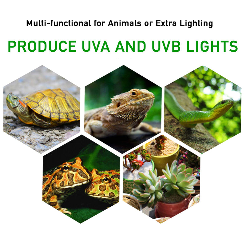 2-Pack 25W UVA UVB Lamp Lights with Bulbs | Heat and Light for Reptiles and Amphibian Tanks, Terrariums and Cages | Adjustable and Rotates 360° | Clip or Hang Light | Works with Various Light Bulbs - PawsPlanet Australia