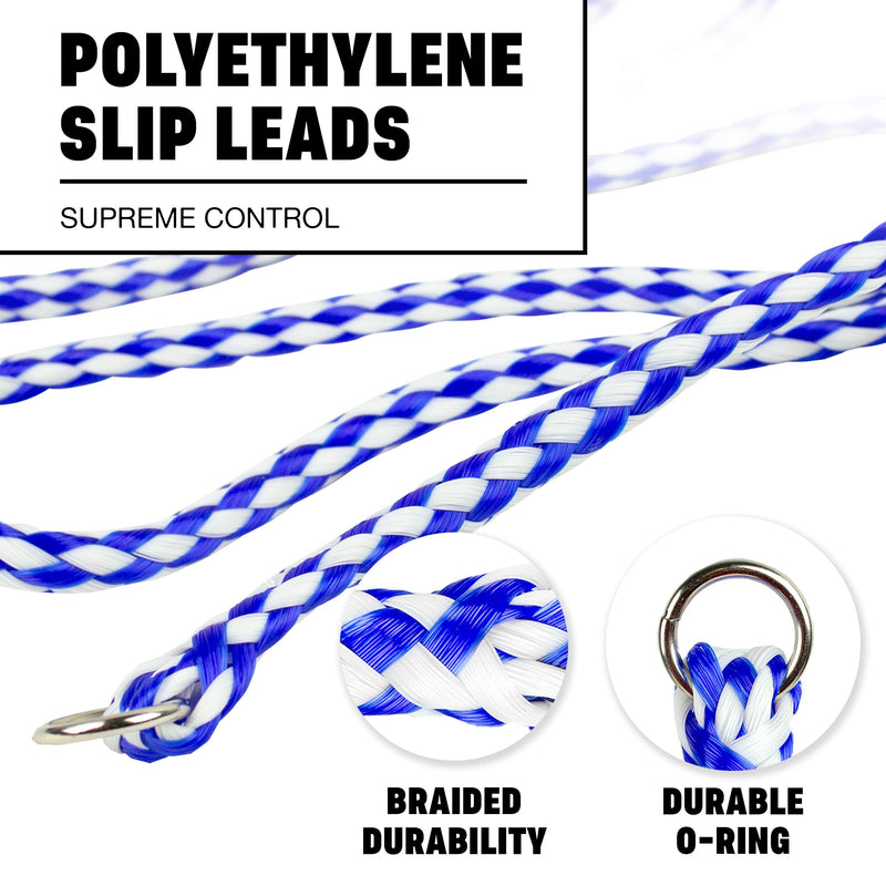 [Australia] - Durable Braided Poly Dog Slip Leads, Animal Control Kennel 5 FT Slip Leads, Strong Leashes for Dogs, Grooming, Shelter, Rescues, Vet, Veterinarian, Doggy Daycare or Pet Training 6 Pack 