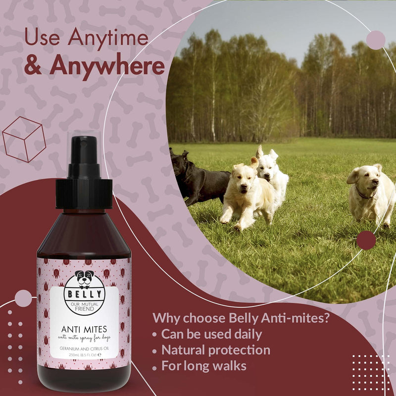 Belly Anti Mites Spray - Dog Mite Spray, An Ideal Mite Treatment For Dogs & Natural Mite Killer For On The Go - Mite treatment dogs - Alternative To Mite Shampoo For Dogs & Mite Drops For Dogs, 250 ml - PawsPlanet Australia