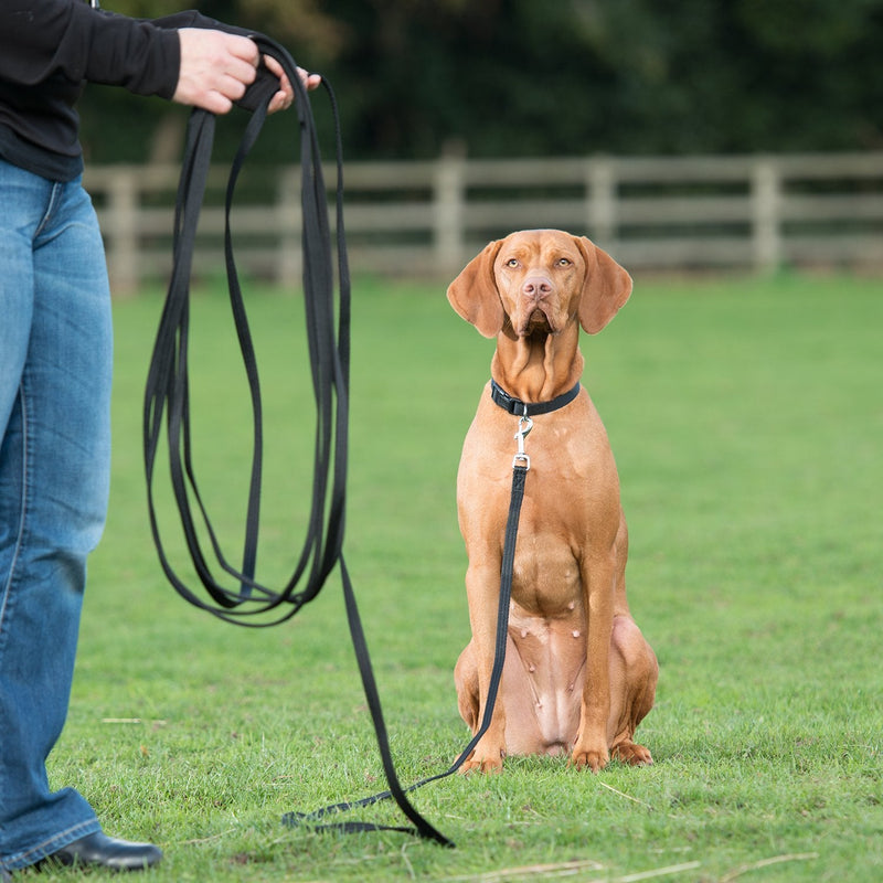 The Company of Animals Recall Line 10m, Lightweight, Soft to hold, Perfect for Recall Training, Chasing, Dog & Puppy Training and Socialisation, Available in Lightweight 5m, 5m and 10m Standard - PawsPlanet Australia