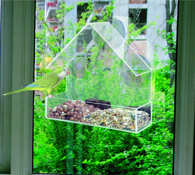 Redwood Leisure Window Bird Feeder Clear Perspex Hanging Bird Feeder With Suction Cup BB-BF111 1 Red - PawsPlanet Australia