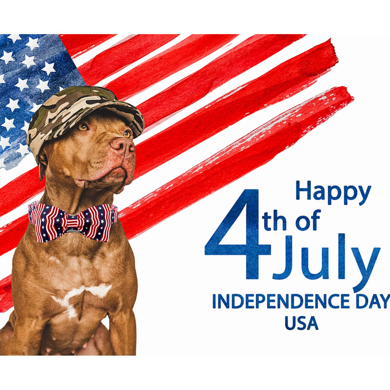 Lionheart glory American Flag Dog Collar, 4 of July Dog Bow Collar Heavy Duty Adjustable Patriotic Dog Collar with Bowtie for Medium Dogs Pet Gift Medium (Pack of 1） A:American flag - PawsPlanet Australia