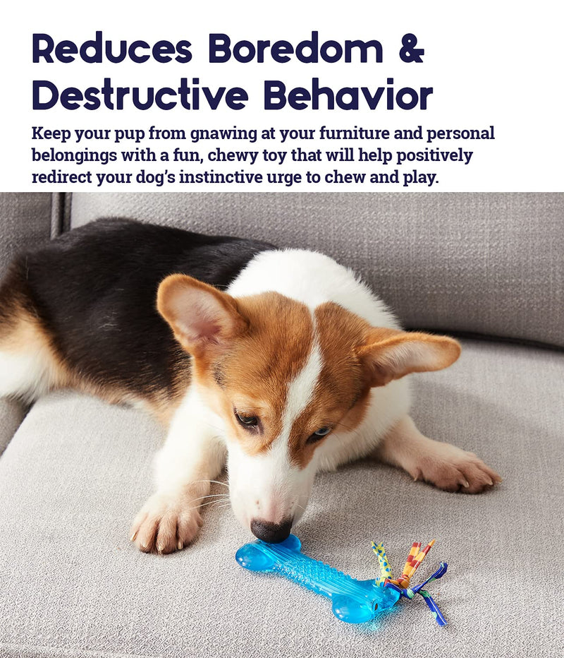Petstages Orka Mini Bone Royal Blue Dog Chew Toy - PawsPlanet Australia