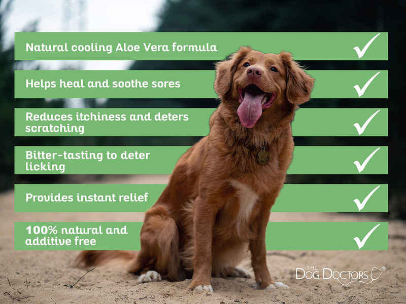 The Dog Doctors Aloe Vera Hot Spot Foam Helps Heals and Soothes Sores Whilst Providing Itchy Irritated Skin With Relief. - PawsPlanet Australia