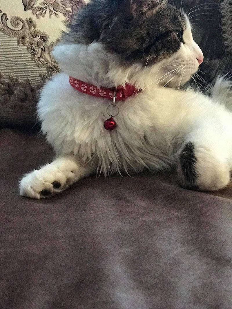 [Australia] - Yasma Cat Collar Adjustable cat Collar with Bell Cat and Other Small Pets 