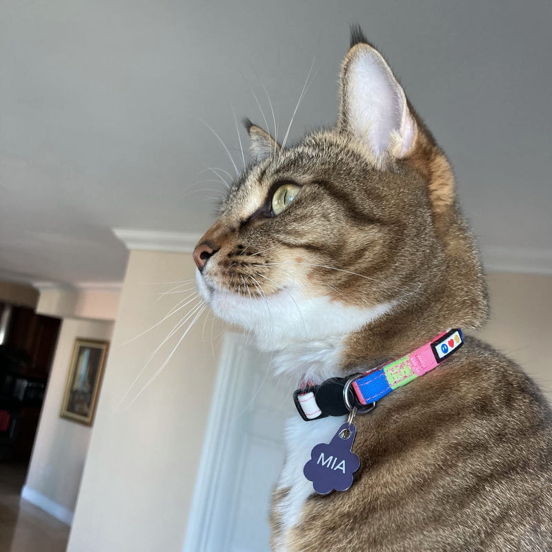 Pawtitas Pet Multicolor Cat Collar Safety Buckle Removable Bell Cat Collar Kitten Collar Cat Collar Blue / Green / Beige / Grey - PawsPlanet Australia