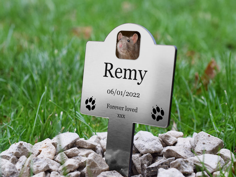 OriginDesigned Personalised Pet Rat Memorial Plaque Stake - Pet Loss, Sympathy Gift, Grave Maker, Outdoor Garden Waterproof (Graphic) Graphic - PawsPlanet Australia