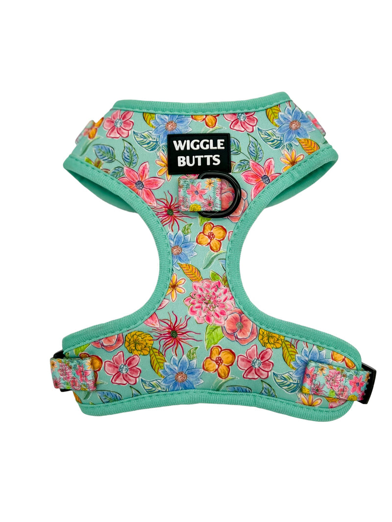 Turquoise Floral Dog Harness + Leash Set (Small) Small - PawsPlanet Australia