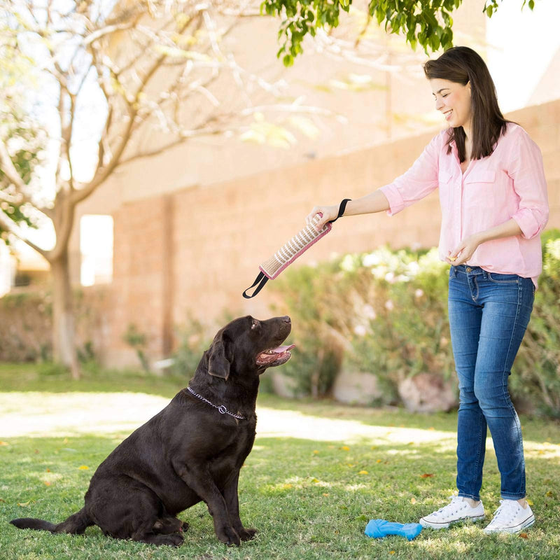 Opopark 2 Pieces Dog Bite Tug Toy, Durable Pull Toy with 2 Strong Handles for Medium to Large Dogs, Ideal for Tug of War, Fetch, Puppy Training & Interactive Play - PawsPlanet Australia