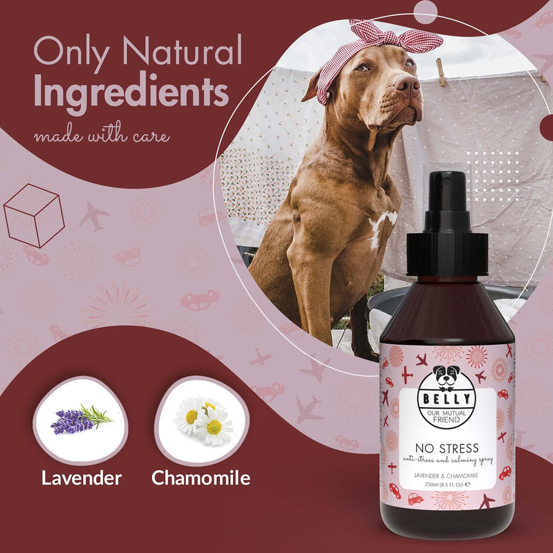 Belly Dog Anxiety Relief Spray - Pet Corrector Spray For Dogs & Puppies - All Natural Pet Remedy Spray & Dog Calming Spray For Dog Anxiety - Dog Calming Products, Nervous Dog Products, 250 ml - PawsPlanet Australia