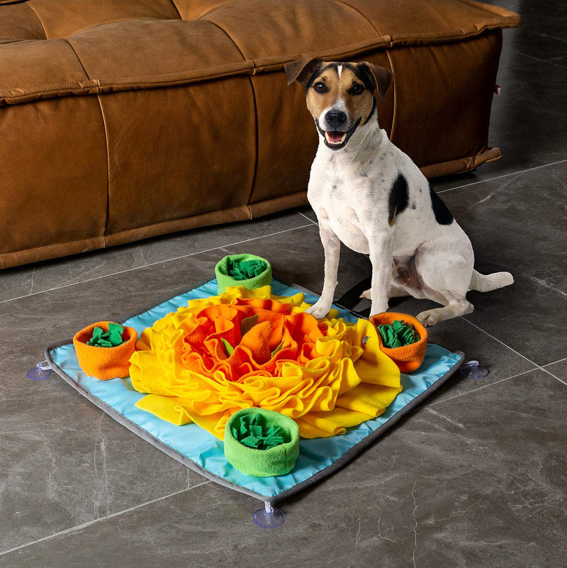 Rainyk Pet Snuffle Mat for Dogs Small Large, Durable & Easy to Fill, Interactive Feeding Games, Encourages Natural Foraging Skills for Dogs - PawsPlanet Australia