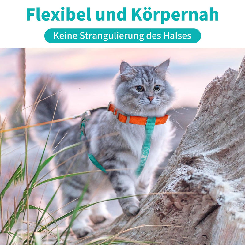 Moorle Cat Harness with Leash, Cat Harness, Escape-Proof, Adjustable, Escape-Proof Cat Vest with Reflective Strips, Lightweight Cat Harness, Kitten Set for Cats and Dogs (S) S Orange and Blue - PawsPlanet Australia